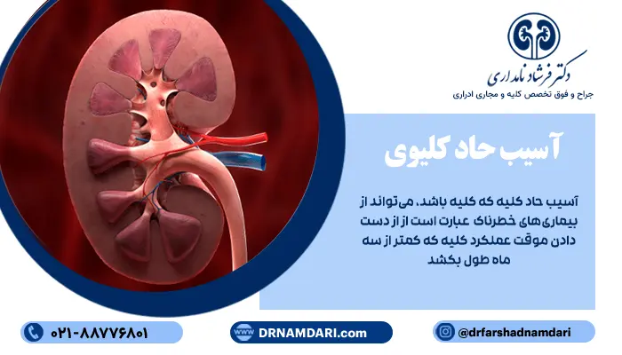 آسیب حاد کلیه می‌تواند از بیماری‌های خطرناک کلیه باشد