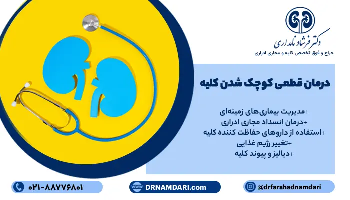 درمان قطعی کوچک شدن کلیه