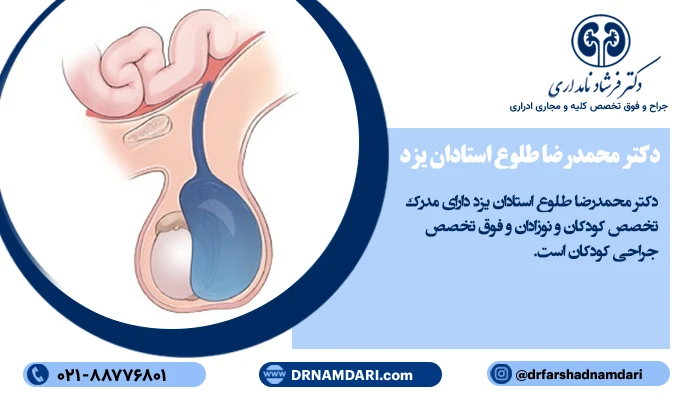 معرفی بهترین دکتر جراحی هیدروسل در تهران در سایت دکتر نامداری 