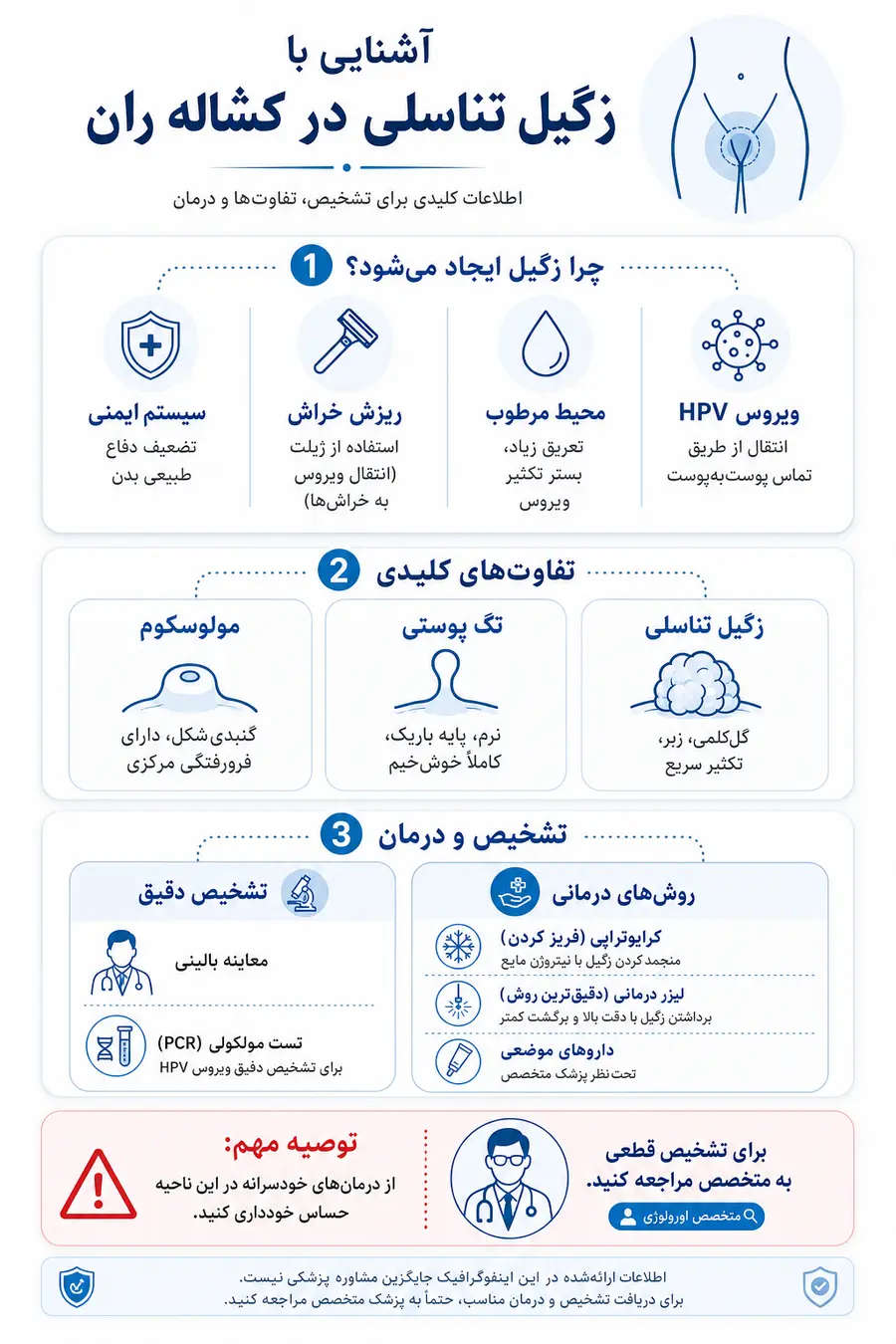 تصویر اینفوگرافیک بررسی زگیل تناسلی کشاله ران و علت زگیل تناسلی در کشاله ران و راه های درمان