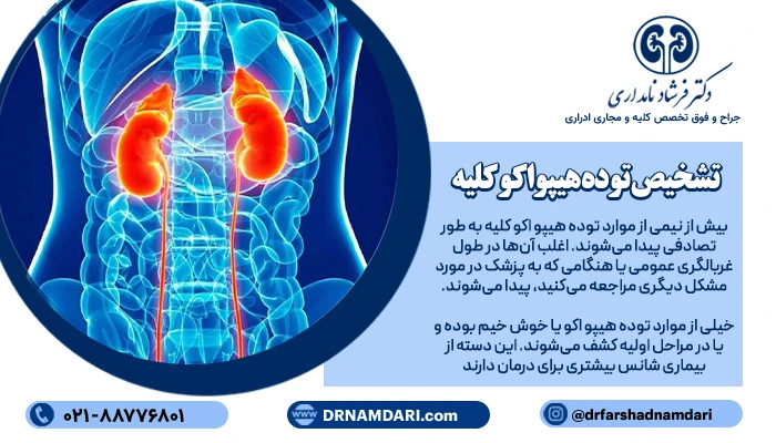 تشخیص توده هیپواکو کلیه