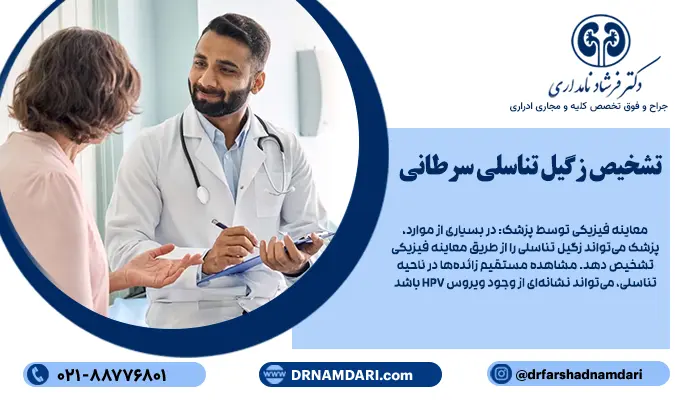 تشخیص به موقع زگیل تناسلی سرطانی، اهمیت زیادی دارد؛ زیرا میتواند مانع از پیشرفت بیماریهای جدیتری مانند سرطان دهانه رحم شود.