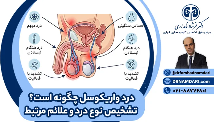 درد واریکوسل چگونه است؟