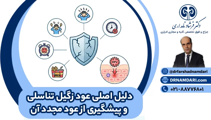 دلیل اصلی عود زگیل تناسلی