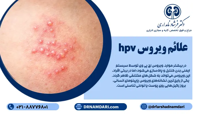 ویروس HPV، معمولا بدون علامت است و بسیاری از افراد بدون آنکه متوجه باشند، ناقل این ویروس هستند. در بیشتر موارد، ویروس اچ پی وی توسط سیستم ایمنی بدن کنترل و پاکسازی میشود؛ اما در برخی افراد، این ویروس میتواند به شکلهای مختلفی ظاهر گردد.