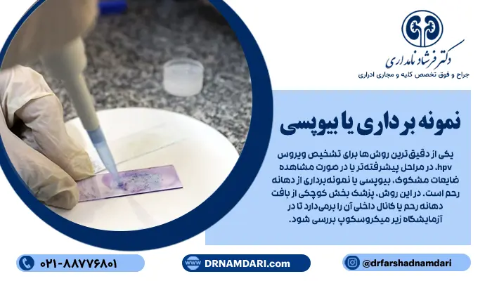 یکی از دقیقترین روشها برای تشخیص ویروس hpv، در مراحل پیشرفتهتر یا در صورت مشاهده ضایعات مشکوک، بیوپسی یا نمونهبرداری از دهانه رحم است. در این روش، پزشک بخش کوچکی از بافت دهانه رحم یا کانال داخلی آن را برمیدارد تا در آزمایشگاه زیر میکروسکوپ بررسی شود.