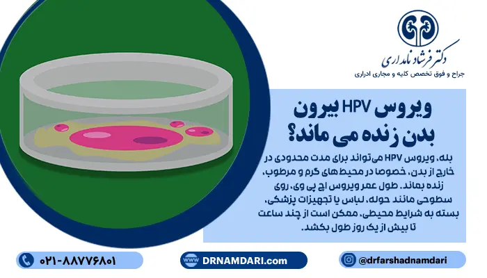 ویروس hpv بیرون بدن زنده می ماند؟ بله، ویروس HPV میتواند برای مدت محدودی در خارج از بدن، خصوصا در محیطهای گرم و مرطوب، زنده بماند. طول عمر ویروس اچ پی وی، روی سطوحی مانند حوله، لباس یا تجهیزات پزشکی، بسته به شرایط محیطی، ممکن است از چند ساعت تا بیش از یک روز طول بکشد.
